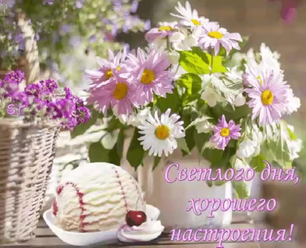 чудесного летнего утра