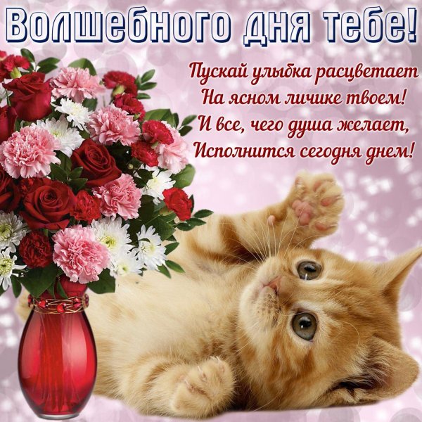 пожелания хорошего настроения