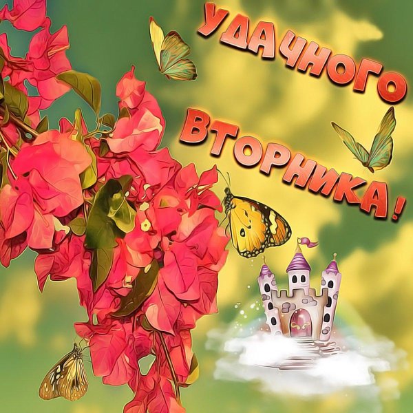 бугенвиллия laffitte