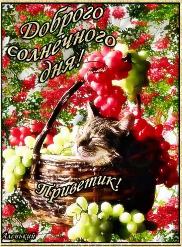 доброго дня и настроения