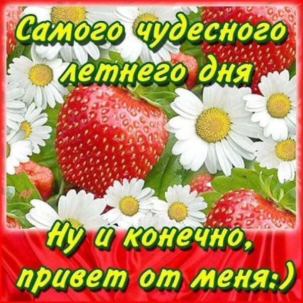 хорошего денечка летнего настроения