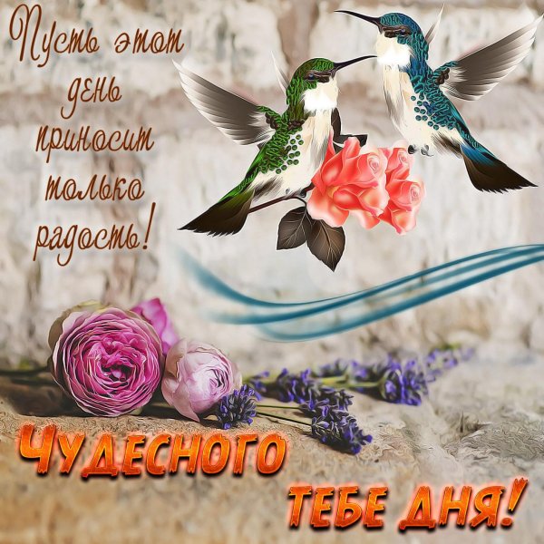 прекрасного дня с птичками