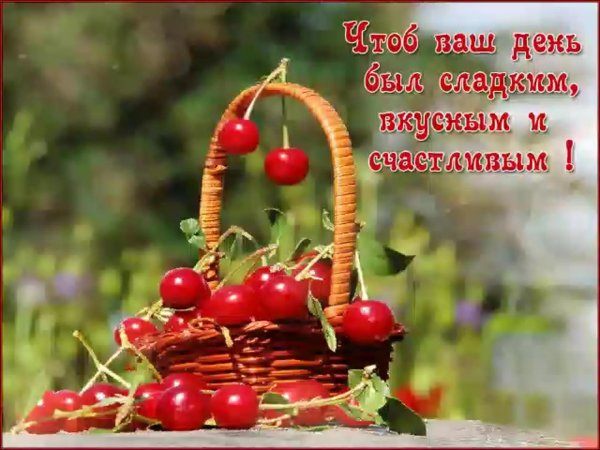 хорошего дня в августе