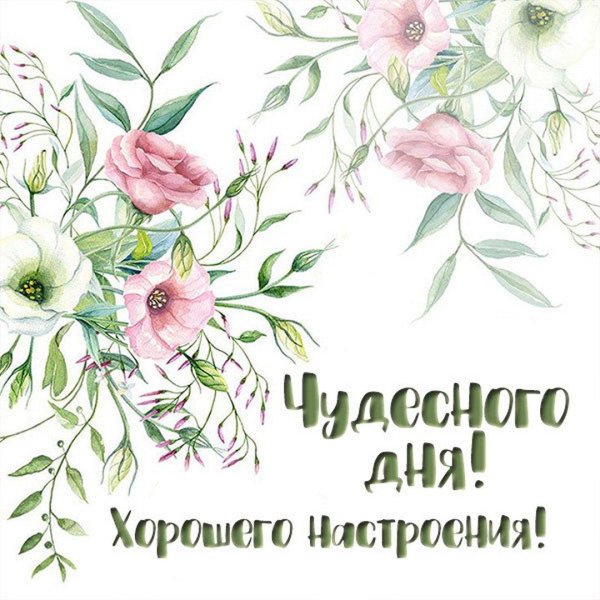 цветок акварель