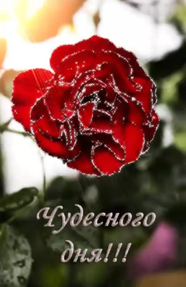 денёчка доброго