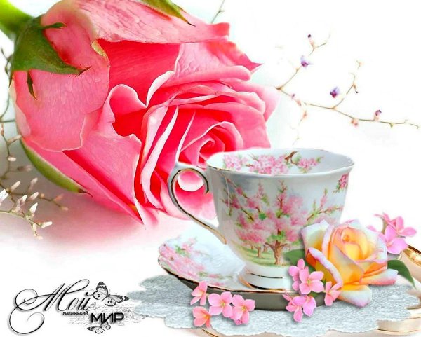 доброго нежного утра