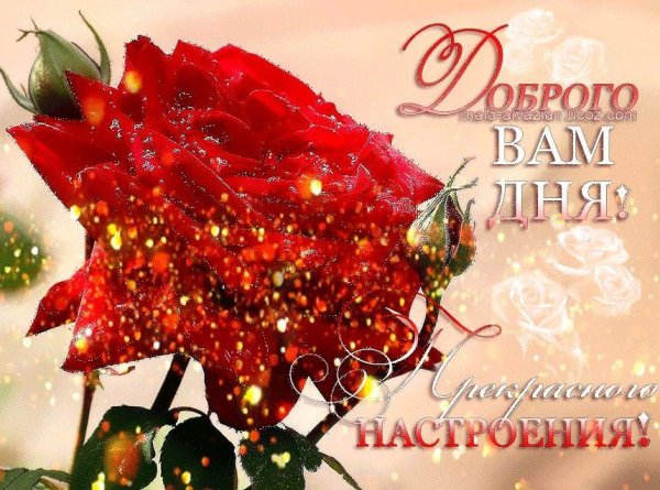 хорошего настроения на весь день гифки