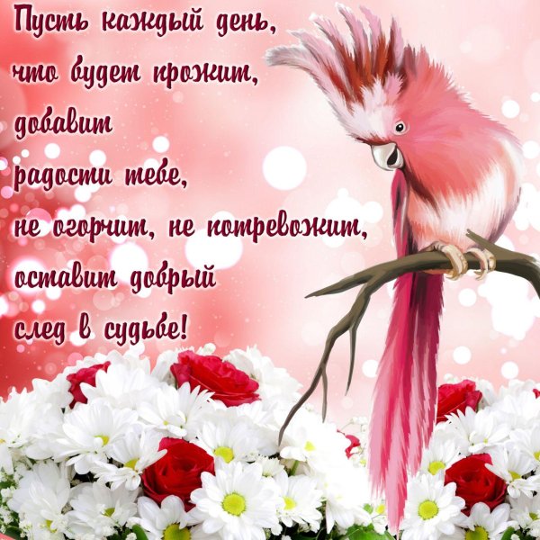 попугаи розовые