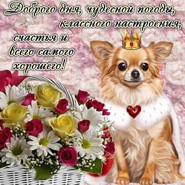 хорошие пожелания