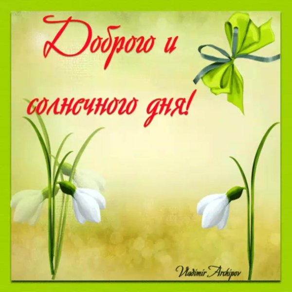 добрый день открытки красивые весенние