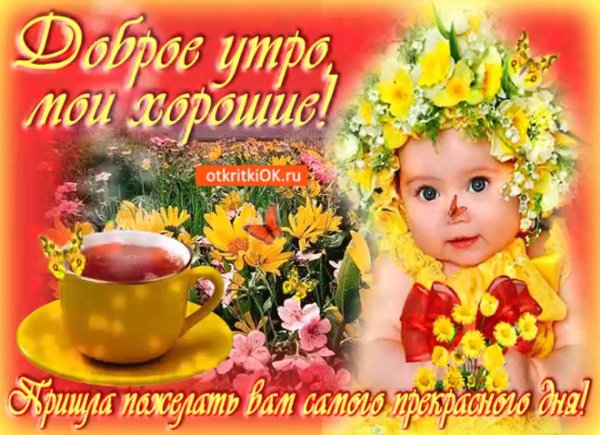 доброе утро сестра и хорошего дня