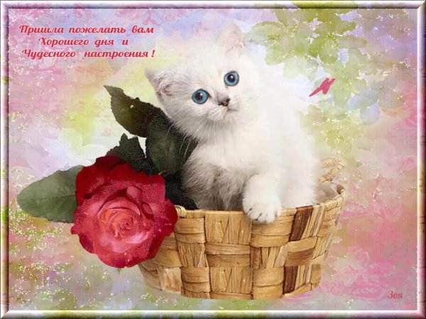 открытка прекрасный день