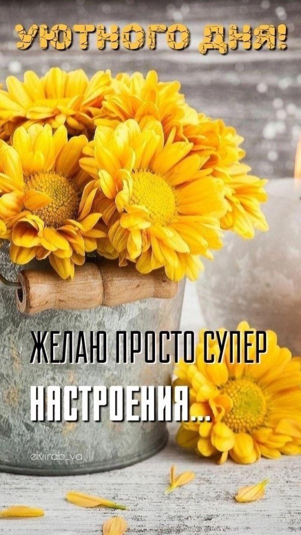 жëлтые цветы