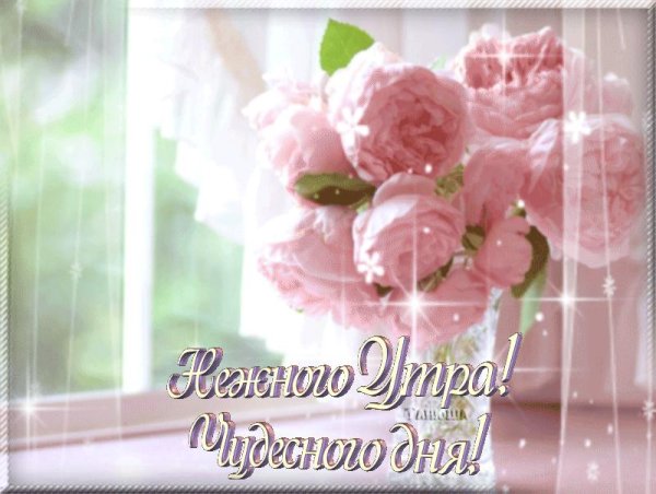 нежные пионы