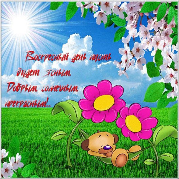 хорошего воскресенья пожелания