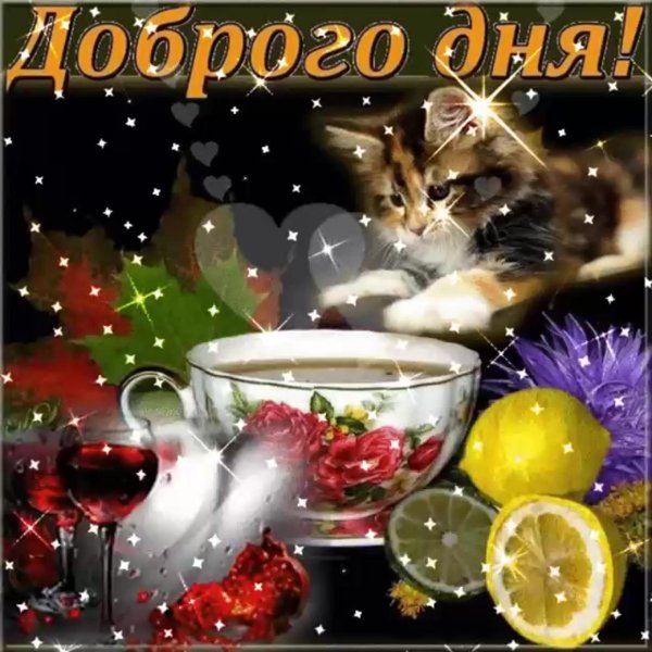 открытка доброго дня