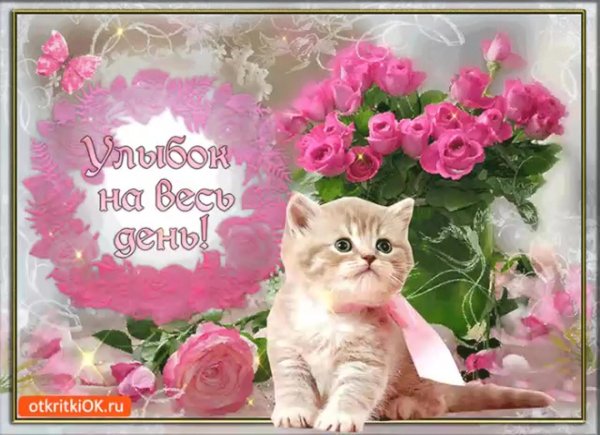 хорошие пожелания открытки