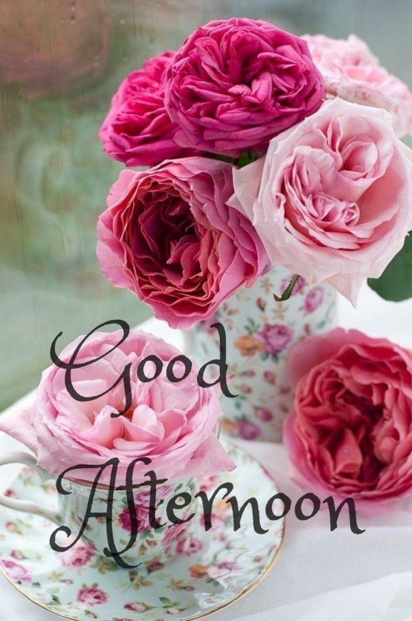 пионы на английском