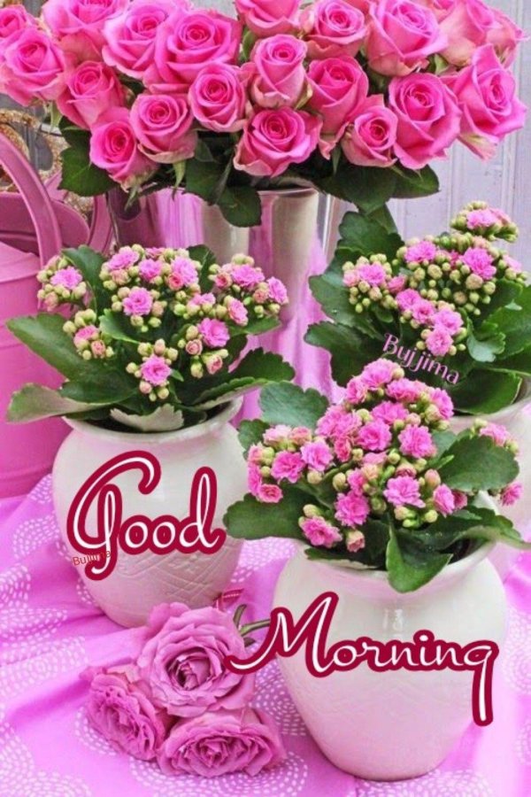 открытка цветы