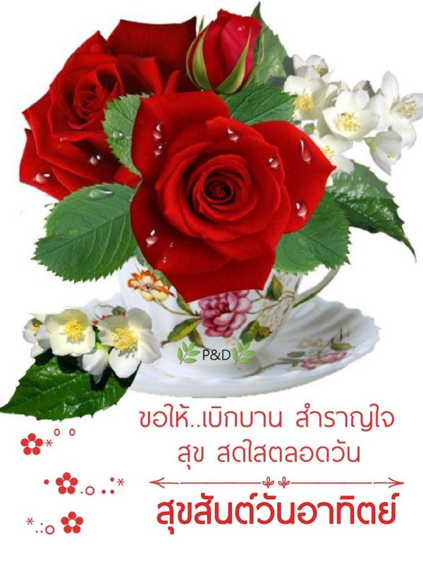 доброго утра с розами