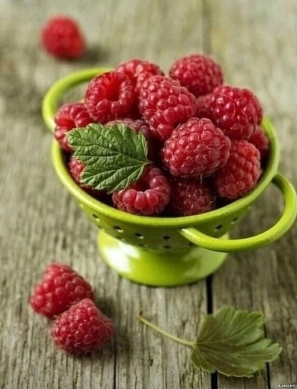 малина ягода малина