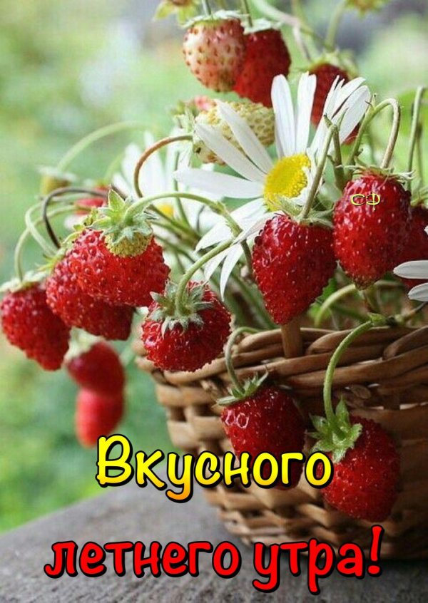 летние ягоды