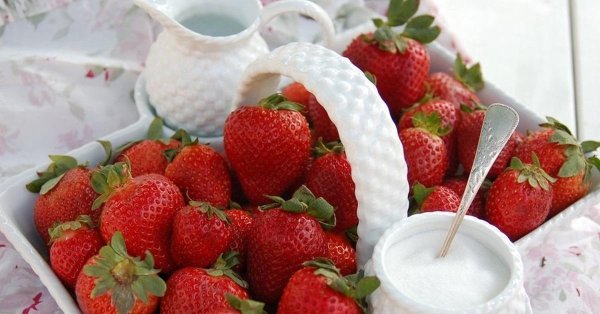 клубника строуберри