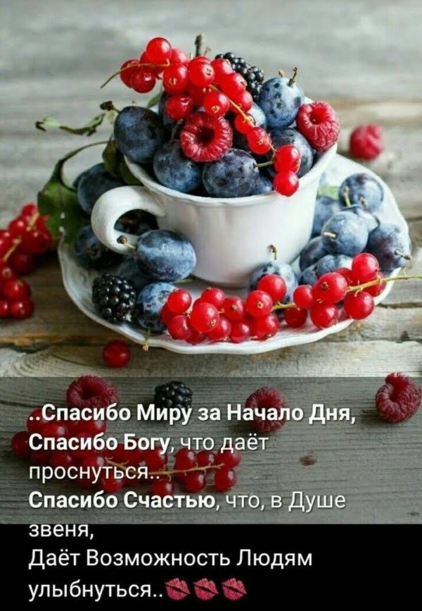 ежевика малина голубика