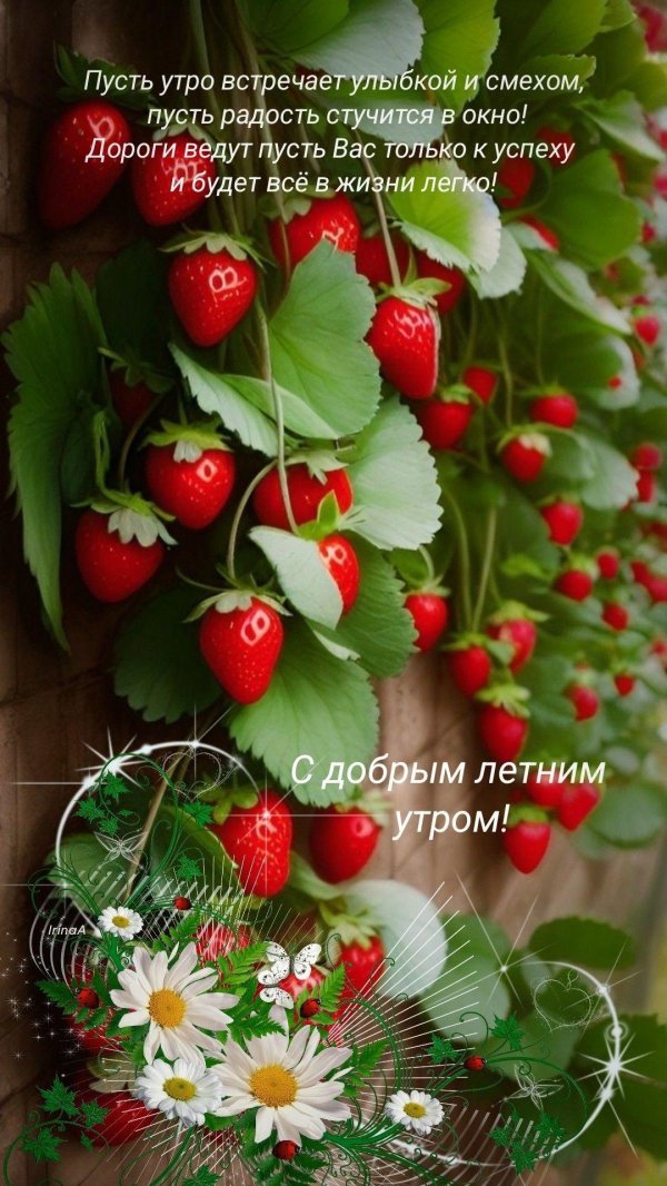 летние ягоды