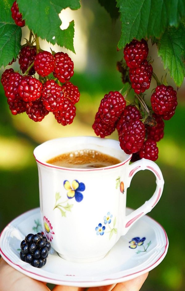 утра доброго летнего