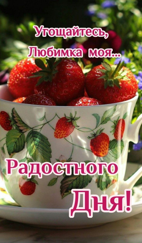 доброе летнее утречко