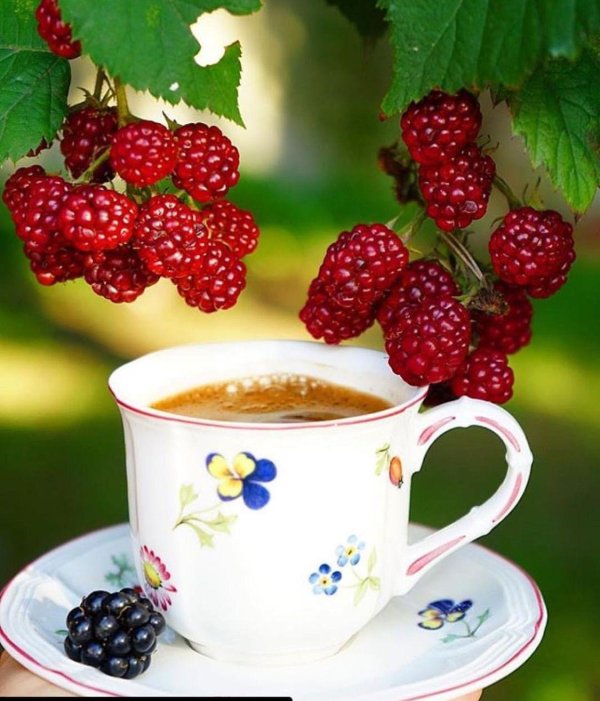 утра доброго