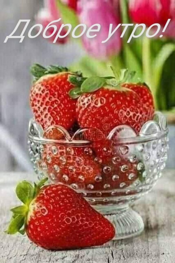 лето клубника