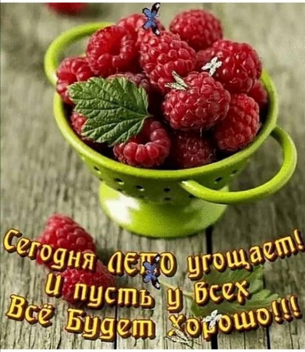 прекрасного летнего настроения