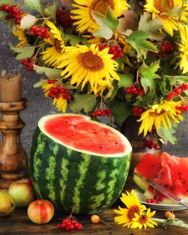 август август