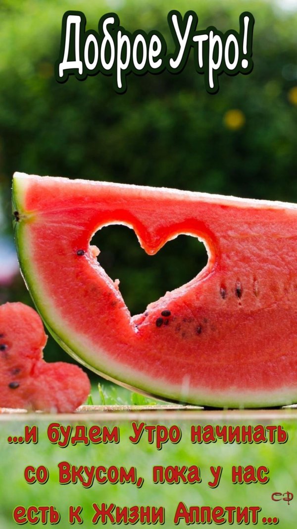 день арбуза