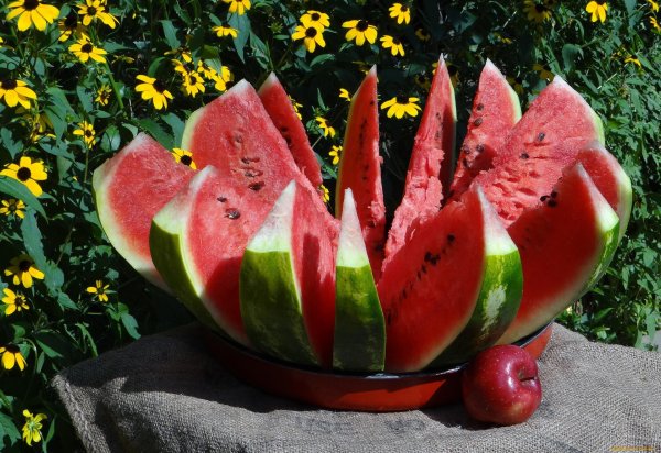 арбузное лето