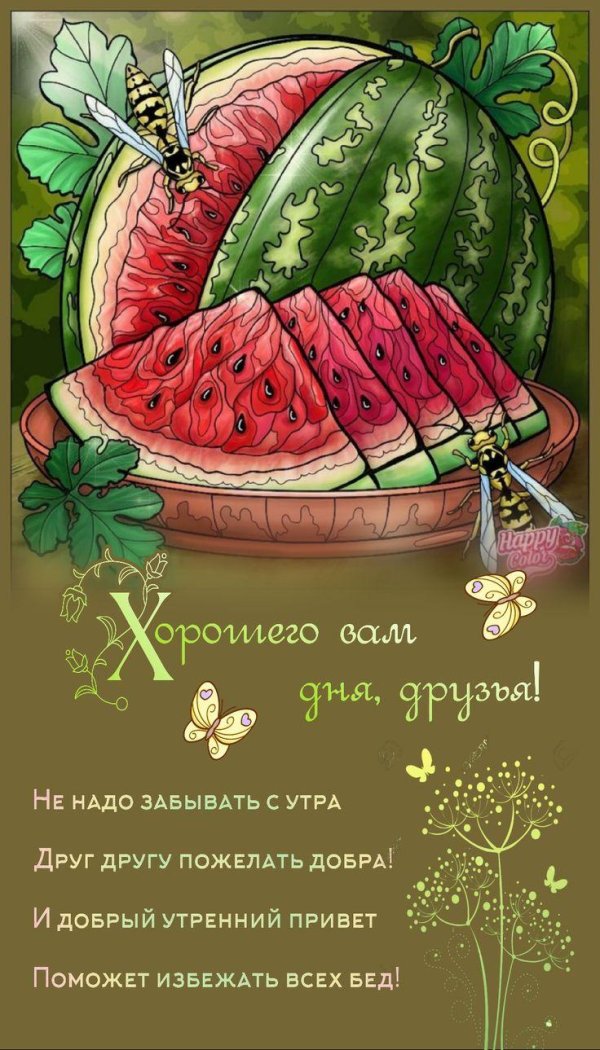 3 августа день арбуза