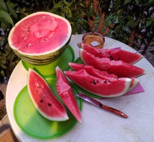 доброе утро с арбузом