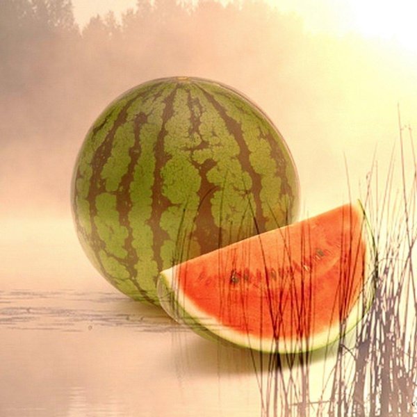 доброе утро с арбузом