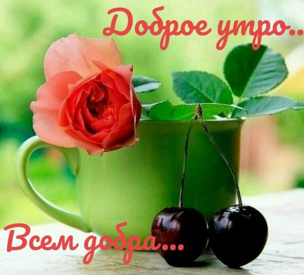 с добрым утром