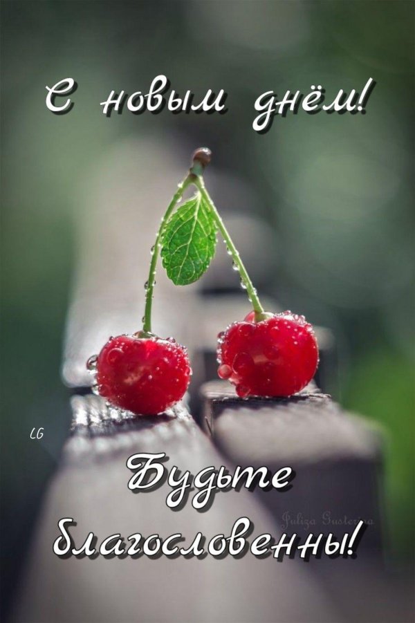 красивая вишня