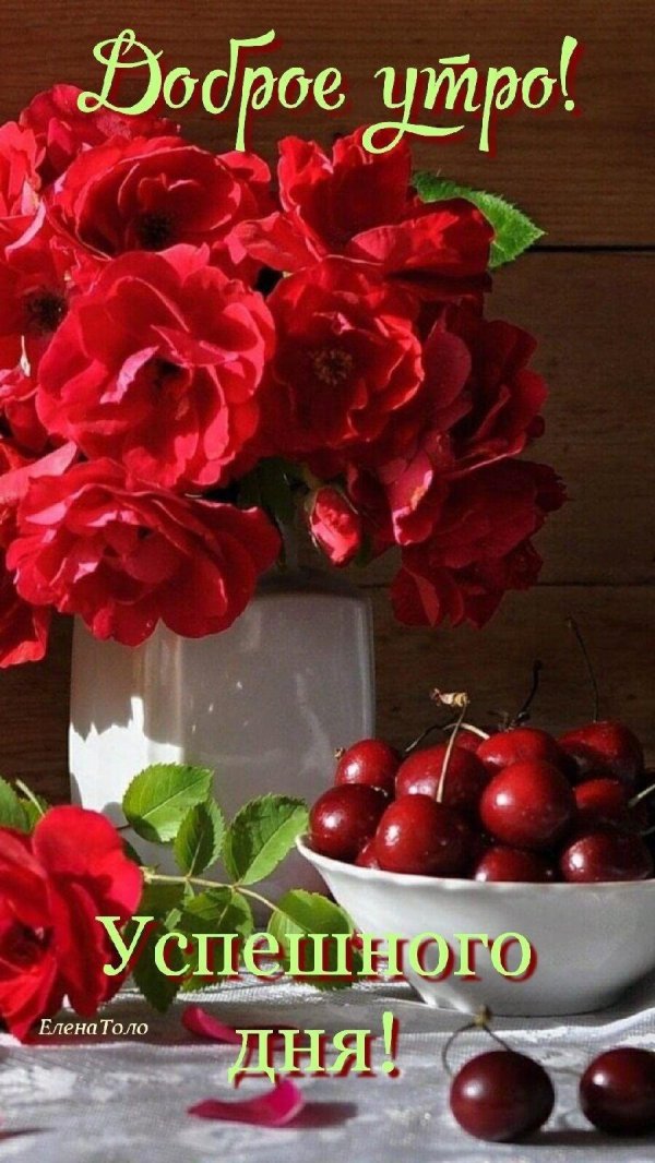 доброго утра август