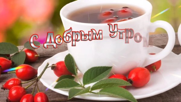 с добрым утром красивая