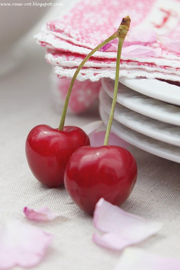 красивые вишенки