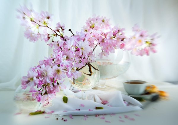 весеннего утра