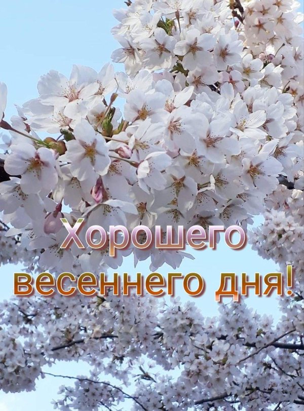 добрый весенний день