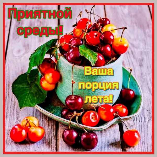 композиция из ягод