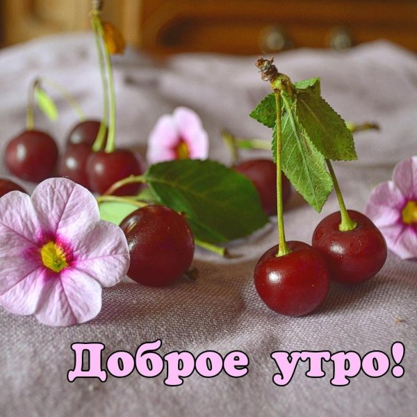 доброе утро вишенка