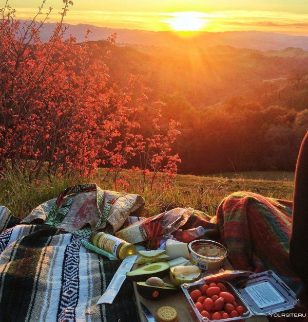осенний пикник
